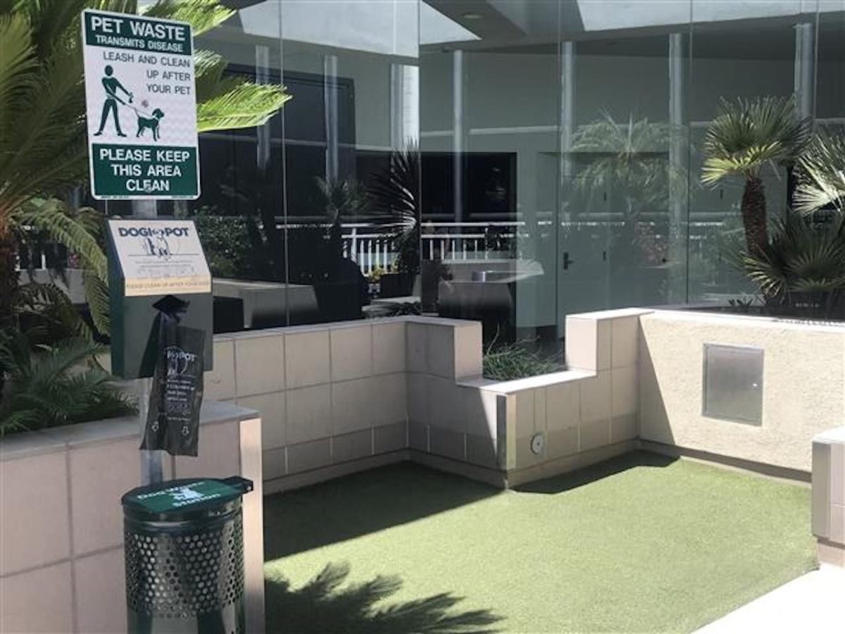 Pet-relief-area-at-LAX
