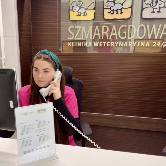 cennik usług lekarsko weterynaryjnych cennik usług lekarsko weterynaryjnych